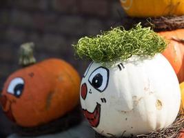 pumpkins in a german garden photo