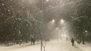 zwaar sneeuwstorm. mensen wandelen Aan een winter straat gedurende sneeuwval. zwaar sneeuw video