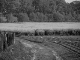 in the german muensterland photo