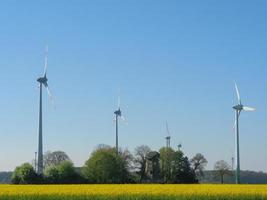 spring time near Stadtlohn in germany photo