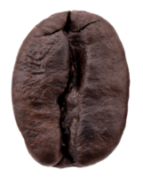 grãos de café isolados png