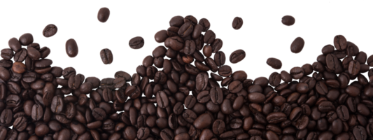 Coffee beans isolated png