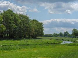 the small village of Loikum photo