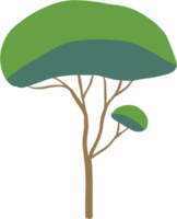 simplicity tree freehand drawing flat design. png