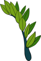 eenvoud zanzibar gem plant eenvoud uit de vrije hand tekenen plat ontwerp. png