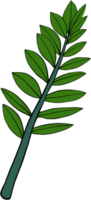 eenvoud zanzibar gem plant eenvoud uit de vrije hand tekenen plat ontwerp. png