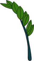 simplicité zanzibar gem plante simplicité dessin à main levée design plat. png