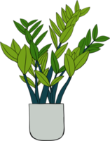 eenvoud zanzibar gem plant eenvoud uit de vrije hand tekenen plat ontwerp. png