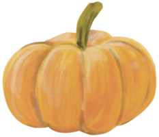 watercolor painting of pumpkin vegetable. png