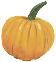 watercolor painting of pumpkin vegetable. png
