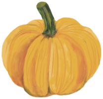 watercolor painting of pumpkin vegetable. png