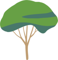 simplicity tree freehand drawing flat design. png