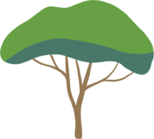 simplicity tree freehand drawing flat design. png