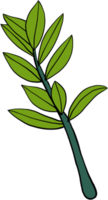 simplicité zanzibar gem plante simplicité dessin à main levée design plat. png