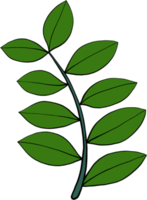 simplicité zanzibar gem plante simplicité dessin à main levée design plat. png