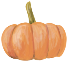 watercolor painting of pumpkin vegetable. png