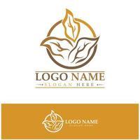 logotipo de hoja de tabaco, campo de tabaco y vector de diseño de plantilla de logotipo de cigarrillo de tabaco