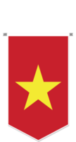 Vietnam flag in soccer pennant, various shape. png