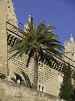 marseille in france photo