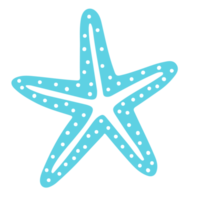 Sea starfish  blue icon element png