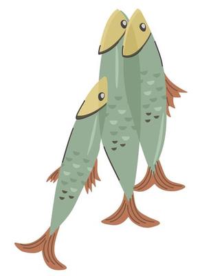 Sprats. Three small fishes on white background.