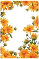 frame of yellow chamomile flowers, gerbera floral wallpaper for wedding venetting vector illustration