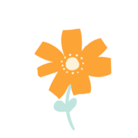 bloemen voor decoratie png