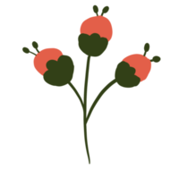 bloemen voor decoratie png