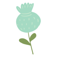 bloemen voor decoratie png