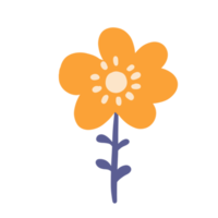 bloemen voor decoratie png