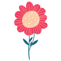 bloemen voor decoratie png