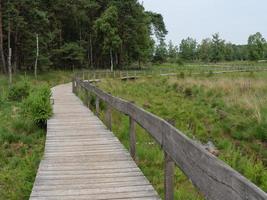 hiking in a german forest photo