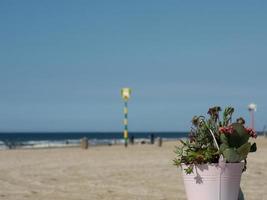 scheveningen in the netherlands photo