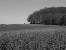 paisaje de westfalia cerca de billerbeck foto