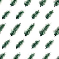 Minimalist seamless pattern with realistic fir branches on white background. vector