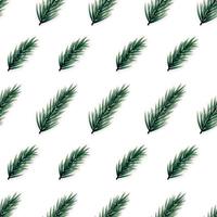 Minimalist seamless pattern with realistic fir branches on white background. vector