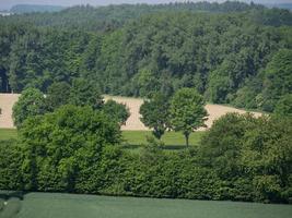 the german baumberge near billerbeck photo