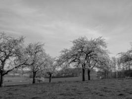 Westphalian landscape near Billerbeck photo