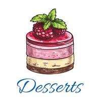 Fruit dessert or berry cake with raspberry sketch vector
