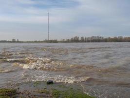 the river rhine in wesel photo