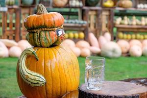 calabazas en el jardín foto