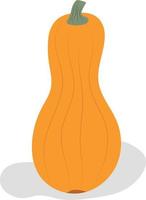 calabaza alargada oblonga madura naranja. cosecha de otoño. estilo plano vector. vector