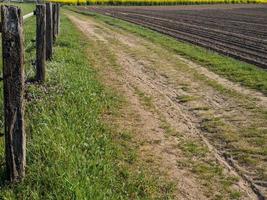 senderismo cerca de reken en el muensterland alemán foto