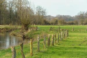 The river Aa near borken in germany photo