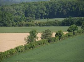 the german baumberge near billerbeck photo