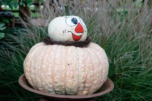 many orange pumpkins photo