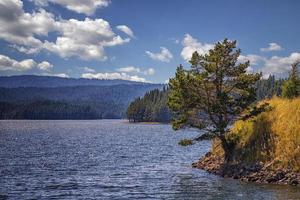 Relaxing landscape at lake with tree over the water  and beauty sky photo