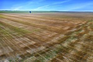 Scenic view from a drone of landscape with earth surface after harvest. Nature background photo