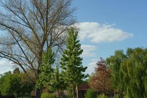 Vreden at the berkel river  in germany photo