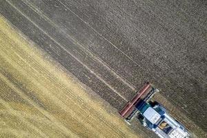 Aerial view drone of harvesting field with combine mows wheat.  Harvesting in the fields. Top view photo